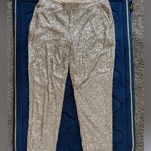Sequin Embellished Women's Pants